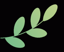 种互动体例激发市平易近对保健食物相关学问的